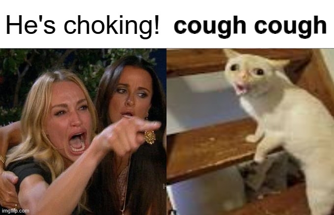 cough cough | He's choking! cough cough | image tagged in cats,cat,coughing cat,cough,coughing | made w/ Imgflip meme maker