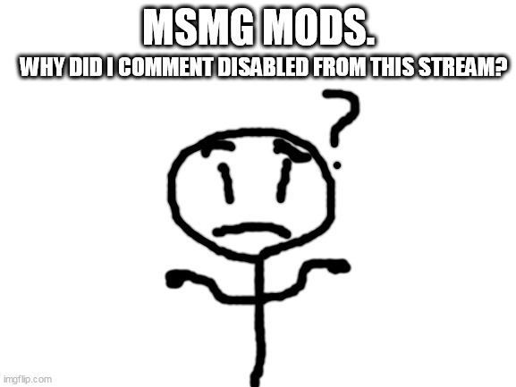 for msmg mods to read this on fun stream | MSMG MODS. WHY DID I COMMENT DISABLED FROM THIS STREAM? | image tagged in idk,what,tags | made w/ Imgflip meme maker