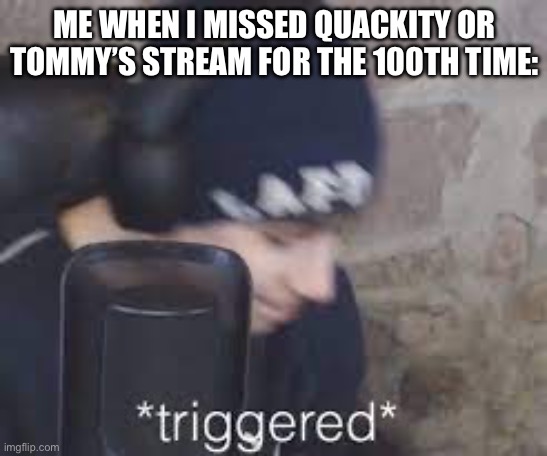 ME WHEN I MISSED QUACKITY OR TOMMY’S STREAM FOR THE 100TH TIME: | made w/ Imgflip meme maker