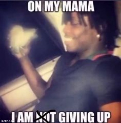 made w/ Imgflip meme maker