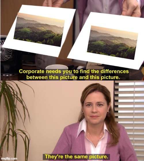 They're The Same Picture | image tagged in anti meme,they're the same picture | made w/ Imgflip meme maker