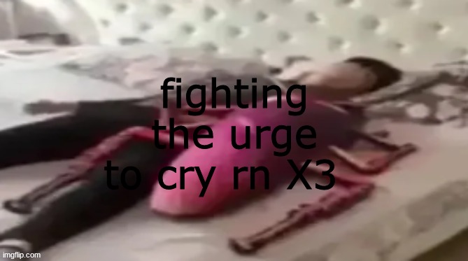 wanna kms just to teach these mf a lesson | fighting the urge to cry rn X3 | made w/ Imgflip meme maker