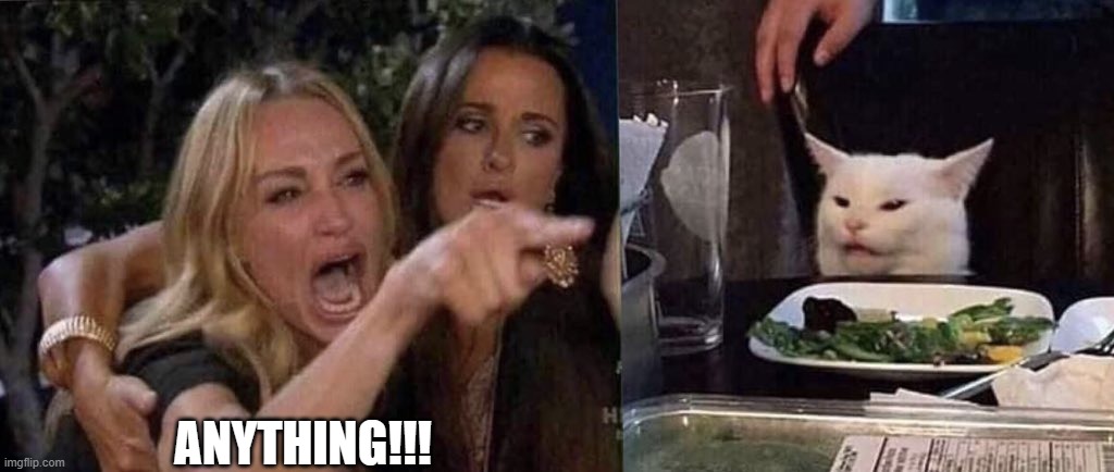 woman yelling at cat | ANYTHING!!! | image tagged in woman yelling at cat | made w/ Imgflip meme maker