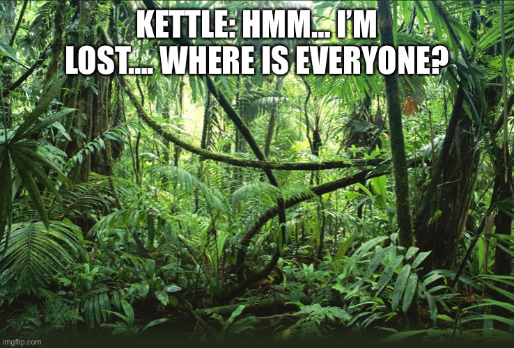 Kettle gets lost in the jungle | KETTLE: HMM… I’M LOST…. WHERE IS EVERYONE? | image tagged in jungle | made w/ Imgflip meme maker