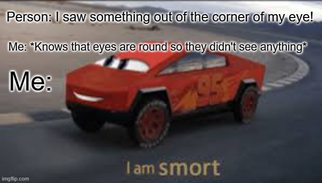 Eye | Person: I saw something out of the corner of my eye! Me: *Knows that eyes are round so they didn't see anything*; Me: | image tagged in i am smort | made w/ Imgflip meme maker