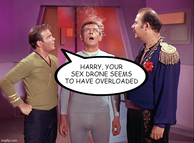 Overload | HARRY, YOUR SEX DRONE SEEMS TO HAVE OVERLOADED | image tagged in star trek i mudd | made w/ Imgflip meme maker