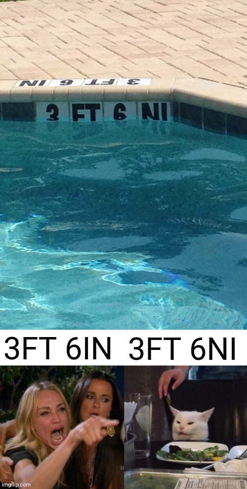 Swimming pool | 3FT 6IN; 3FT 6NI | image tagged in memes,woman yelling at cat,you had one job,swimming pool,pool,design fails | made w/ Imgflip meme maker