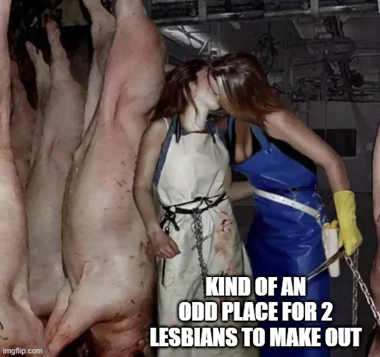 I Mean, Hot....But also, Disturbing | KIND OF AN ODD PLACE FOR 2 LESBIANS TO MAKE OUT | image tagged in unsee juice | made w/ Imgflip meme maker