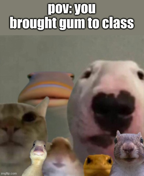 The council remastered | pov: you brought gum to class | image tagged in the council remastered,repost | made w/ Imgflip meme maker