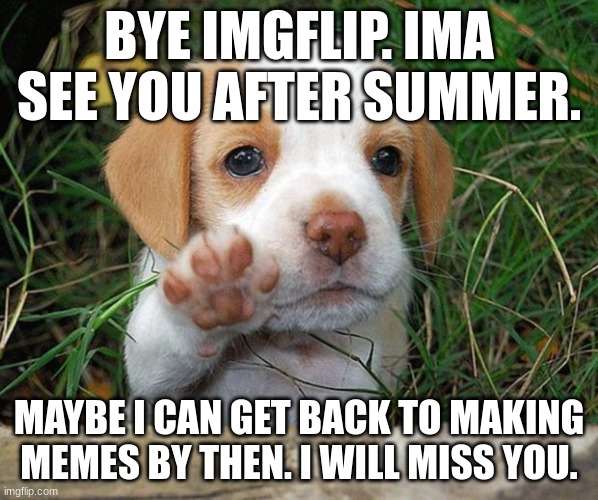 Have a good summer vacation. | BYE IMGFLIP. IMA SEE YOU AFTER SUMMER. MAYBE I CAN GET BACK TO MAKING MEMES BY THEN. I WILL MISS YOU. | image tagged in dog puppy bye | made w/ Imgflip meme maker