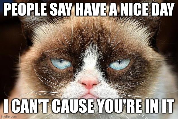Grumpy Cat Not Amused | PEOPLE SAY HAVE A NICE DAY; I CAN'T CAUSE YOU'RE IN IT | image tagged in memes,grumpy cat not amused,grumpy cat | made w/ Imgflip meme maker