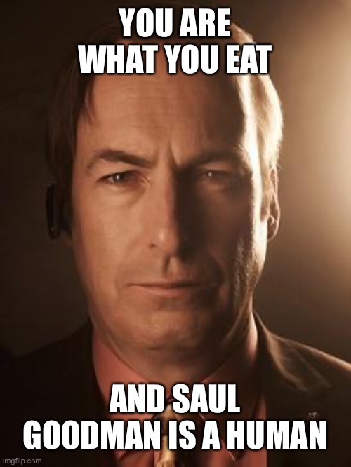 Saul Goodman | YOU ARE WHAT YOU EAT; AND SAUL GOODMAN IS A HUMAN | image tagged in saul goodman | made w/ Imgflip meme maker