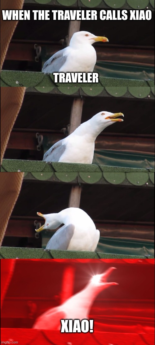 Inhaling Seagull Meme | WHEN THE TRAVELER CALLS XIAO; TRAVELER; XIAO! | image tagged in memes,inhaling seagull | made w/ Imgflip meme maker