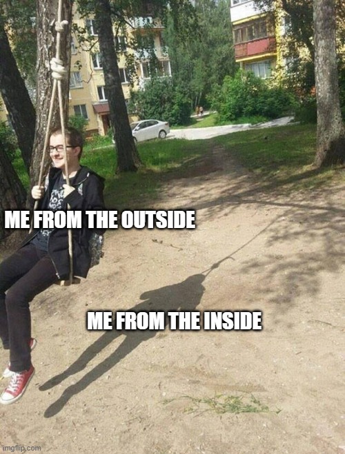 me from the inside vs me from the outside | ME FROM THE OUTSIDE; ME FROM THE INSIDE | image tagged in funny,memes,hilarious memes | made w/ Imgflip meme maker