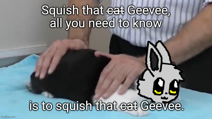 Squish that c̶a̶t̶ Geevee,
all you need to know is to squish that c̶a̶t̶ Geevee. | made w/ Imgflip meme maker