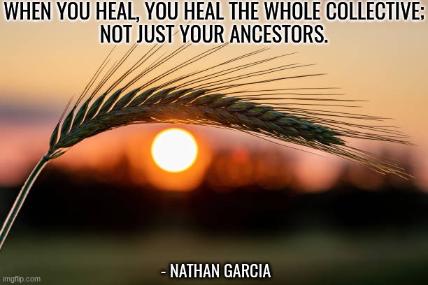 WHEN YOU HEAL, YOU HEAL THE WHOLE COLLECTIVE;
NOT JUST YOUR ANCESTORS. - NATHAN GARCIA | image tagged in spirituality | made w/ Imgflip meme maker