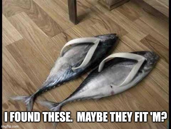 Fish Flops | I FOUND THESE.  MAYBE THEY FIT 'M? | image tagged in fish flops | made w/ Imgflip meme maker