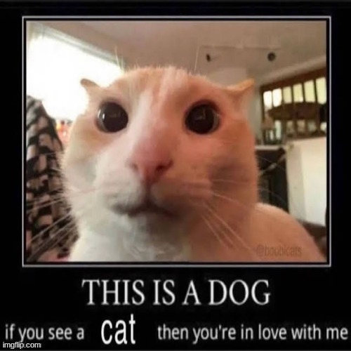 Unsubmitted #26 | made w/ Imgflip meme maker