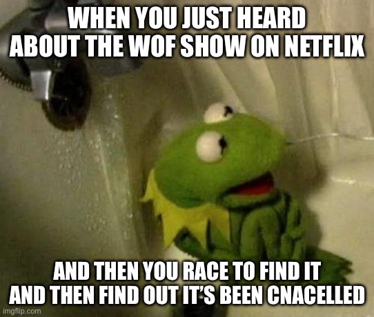 WoF Netflix | WHEN YOU JUST HEARD ABOUT THE WOF SHOW ON NETFLIX; AND THEN YOU RACE TO FIND IT AND THEN FIND OUT IT’S BEEN CANCELLED | image tagged in kermit on shower | made w/ Imgflip meme maker