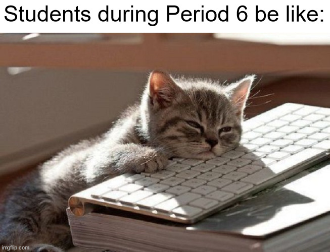 Too Tired | Students during Period 6 be like: | image tagged in too tired | made w/ Imgflip meme maker