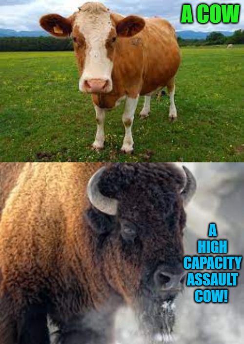 A COW; A HIGH CAPACITY ASSAULT COW! | made w/ Imgflip meme maker