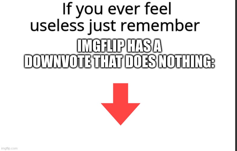 Useless Feature | IMGFLIP HAS A DOWNVOTE THAT DOES NOTHING: | image tagged in if you ever feel useless remember this,useless | made w/ Imgflip meme maker