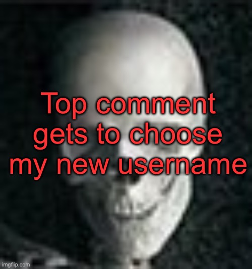 Bad idea number 343748 is a go! | Top comment gets to choose my new username | image tagged in skull | made w/ Imgflip meme maker