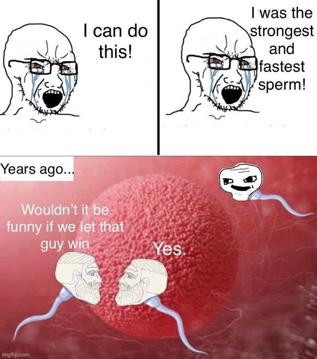 image tagged in memes | made w/ Imgflip meme maker