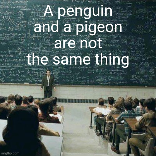 School | A penguin and a pigeon are not the same thing | image tagged in school | made w/ Imgflip meme maker