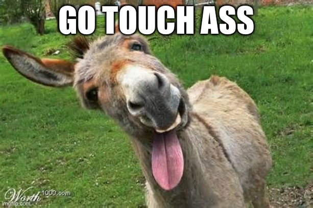 Touch ass | GO TOUCH ASS | image tagged in laughing donkey,ass,touch,touch grass | made w/ Imgflip meme maker