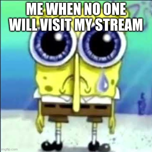 the stream is called puppets_memes by the way | ME WHEN NO ONE WILL VISIT MY STREAM | image tagged in sad spongebob | made w/ Imgflip meme maker