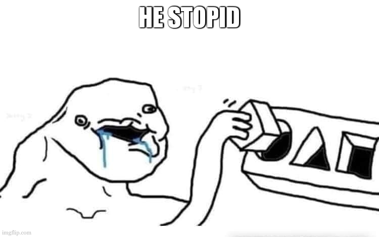 Stupid dumb drooling puzzle | HE STOPID | image tagged in stupid dumb drooling puzzle | made w/ Imgflip meme maker