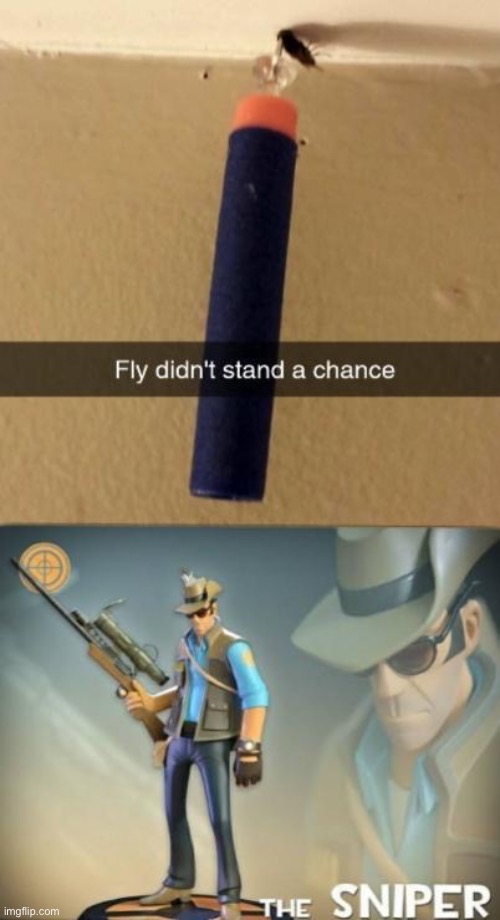 The sniper | image tagged in tf2,the sniper tf2 meme | made w/ Imgflip meme maker