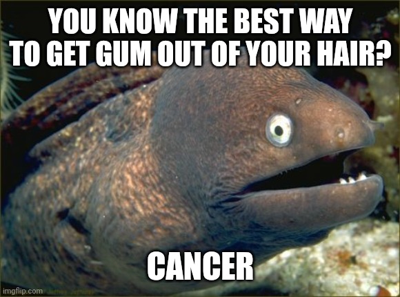 Bad Joke Eel | YOU KNOW THE BEST WAY TO GET GUM OUT OF YOUR HAIR? CANCER | image tagged in memes,bad joke eel | made w/ Imgflip meme maker