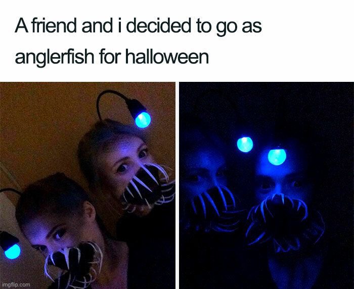 image tagged in memes,funny | made w/ Imgflip meme maker