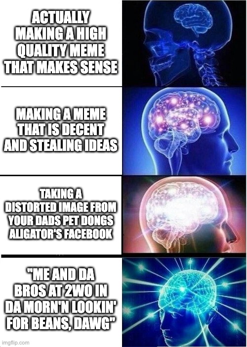 Making memes be like-- | ACTUALLY MAKING A HIGH QUALITY MEME THAT MAKES SENSE; MAKING A MEME THAT IS DECENT AND STEALING IDEAS; TAKING A DISTORTED IMAGE FROM YOUR DADS PET DONGS ALIGATOR'S FACEBOOK; "ME AND DA BROS AT 2WO IN DA MORN'N LOOKIN' FOR BEANS, DAWG" | image tagged in memes,expanding brain | made w/ Imgflip meme maker