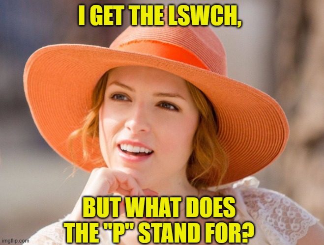 I GET THE LSWCH, BUT WHAT DOES THE "P" STAND FOR? | image tagged in condescending kendrick | made w/ Imgflip meme maker