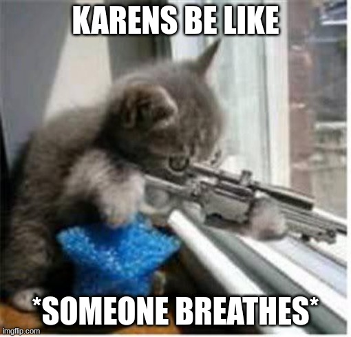 cats with guns | KARENS BE LIKE; *SOMEONE BREATHES* | image tagged in cats with guns | made w/ Imgflip meme maker