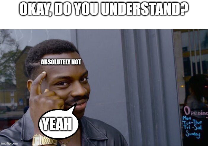 Yeah he definitely understand | OKAY, DO YOU UNDERSTAND? ABSOLUTELY NOT; YEAH | image tagged in memes,roll safe think about it,funny,funny memes | made w/ Imgflip meme maker