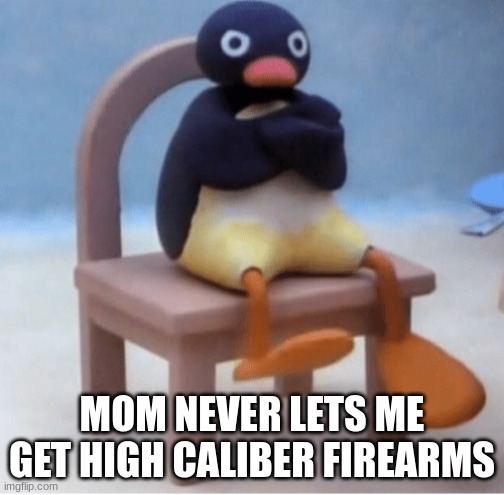 Angry penguin | MOM NEVER LETS ME GET HIGH CALIBER FIREARMS | image tagged in angry penguin | made w/ Imgflip meme maker