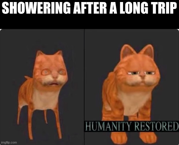 humanity restored | SHOWERING AFTER A LONG TRIP | image tagged in humanity restored | made w/ Imgflip meme maker