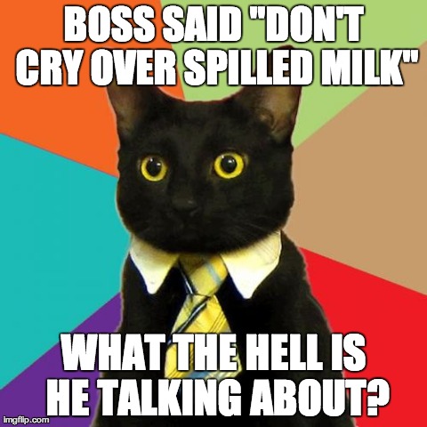 Business Cat Meme | BOSS SAID "DON'T CRY OVER SPILLED MILK" WHAT THE HELL IS HE TALKING ABOUT? | image tagged in memes,business cat | made w/ Imgflip meme maker