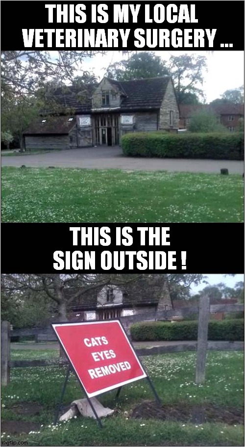 Psycho Vets or Roadworks ?  You Decide ! | THIS IS MY LOCAL
   VETERINARY SURGERY ... THIS IS THE SIGN OUTSIDE ! | image tagged in psycho,vets,roadworks,you decide,dark humour | made w/ Imgflip meme maker