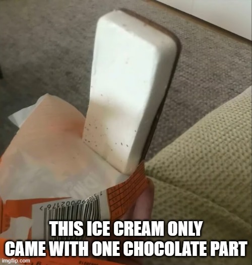 THIS ICE CREAM ONLY CAME WITH ONE CHOCOLATE PART | image tagged in ice cream sandwich,bruh,how | made w/ Imgflip meme maker