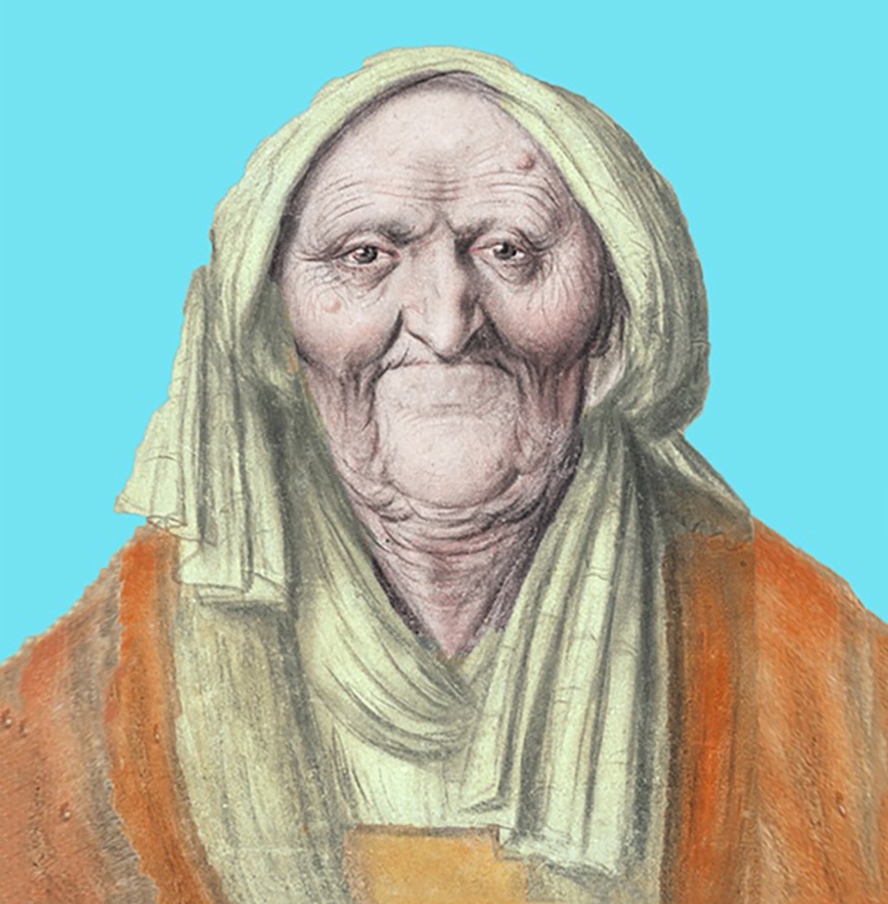 High Quality Ugly old woman Blank Meme Template