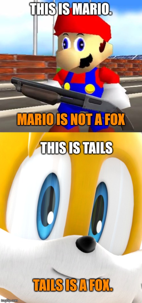 Important fox memes | THIS IS MARIO. MARIO IS NOT A FOX; THIS IS TAILS; TAILS IS A FOX. | image tagged in smg4 shotgun mario,the fox is watching you | made w/ Imgflip meme maker