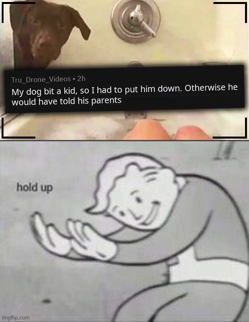 Meme #1,233 | image tagged in fallout hold up,cursed,comments,funny,dark humor,memes | made w/ Imgflip meme maker