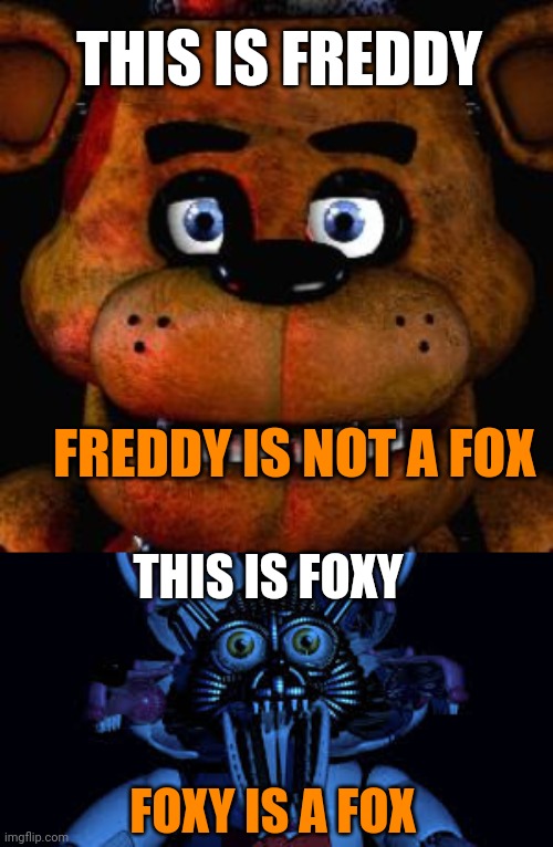Important fox memes | THIS IS FREDDY; FREDDY IS NOT A FOX; THIS IS FOXY; FOXY IS A FOX | image tagged in five nights at freddys,funtime foxy jumpscare fnaf sister location | made w/ Imgflip meme maker