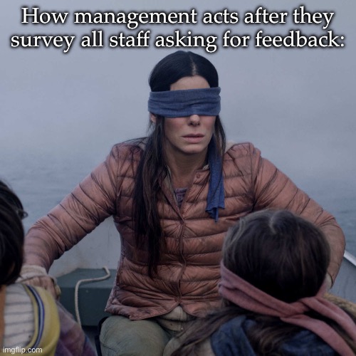 Staff feedback | How management acts after they survey all staff asking for feedback: | image tagged in memes,bird box,feedback,survey | made w/ Imgflip meme maker