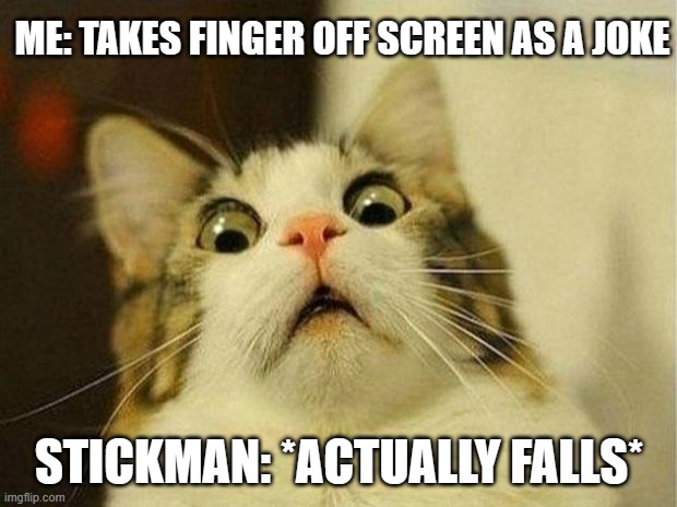 ME: TAKES FINGER OFF SCREEN AS A JOKE STICKMAN: *ACTUALLY FALLS* | image tagged in memes,scared cat | made w/ Imgflip meme maker